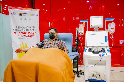 Pendonor sedang donor plasma konvalesen dengan mesin apheresis